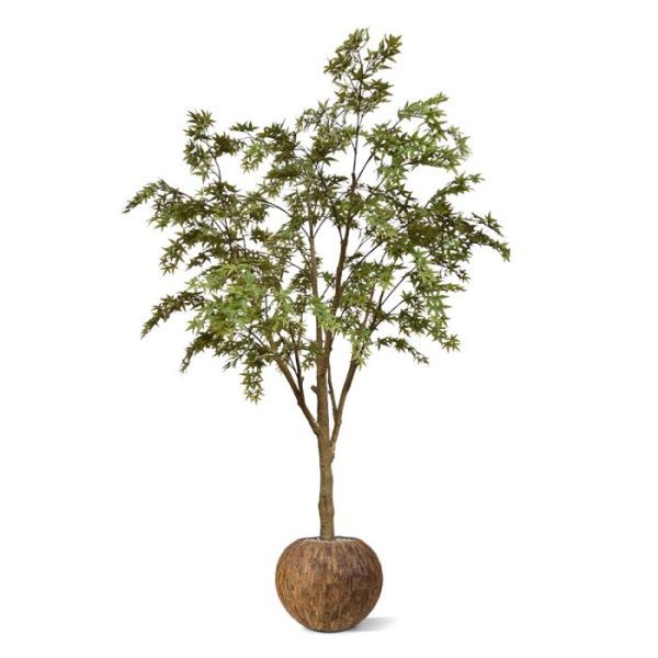 Acer kunstboom 280 cm groen Wie een bijzondere en imposante verschijning zoekt met een Oosters tintje mag deze Acer plant in pot absoluut niet missen. Met zijn enorme hoogte van wel 280 cm torent hij met zijn markante bladeren gezagvol boven iedereen uit. Perfect om uw kantoor