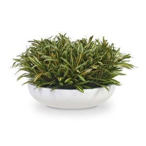 Nieuw in het assortiment van Maxifleur is dit Acuba kunstboeket. Het kleurrijke boeket bestaat uit 7 takken waaraan de smalle zijden blaadjes zijn gemonteerd