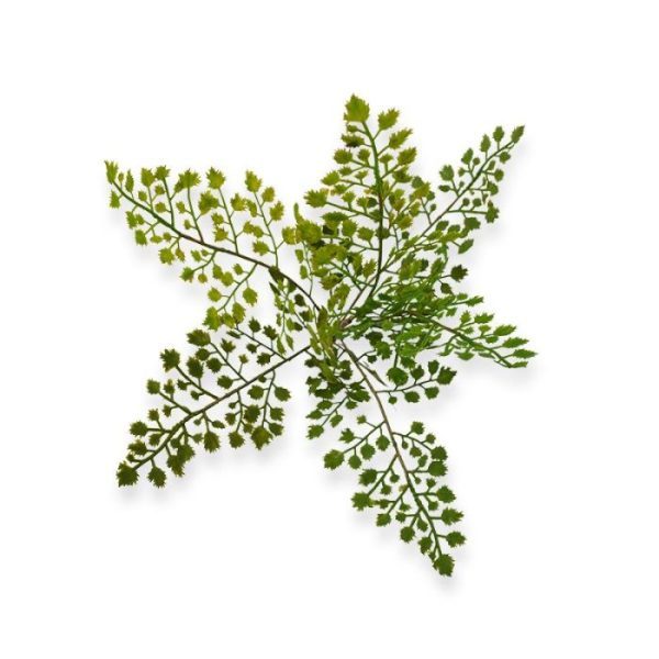 Kunstbloemen ook wel Venushaar genoemd