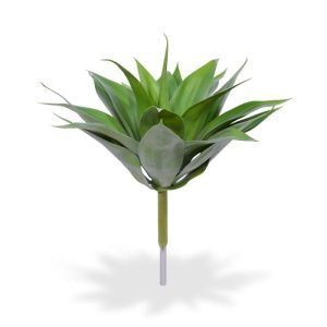 dikke en stugge bladeren ontspringen. Net als de echte Agave vetplant hebben de bladeren van deze kunstsucculent een karakteristiek matte en vetplantachtige uitstraling met zilveren glans. De diameter van deze kunstcactus Agave is circa 45 cm en de plant hoogte inclusief stam is ongeveer 55 cm. Deze kunstplant Agave wordt als boeket geleverd waardoor deze makkelijk op te steken is in verschillende potten of schalen
