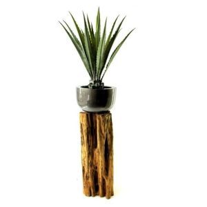 Deze schitterende kunst Agave geeft de indruk dat u midden in de mexicaanse woestijn bent beland! De bladeren zijn van duurzaam plastic gemaakt en tevens buigbaar. Door de hoge kwaliteit van de gebruikte materialen is deze plant niet van echt te onderscheiden. De hoogte van de plant is ongeveer 95 cm.   Standaard wordt deze plant in een plastic binnenpot geleverd. De afgebeelde plantenbak is dus niet bij de prijs inbegrepen.