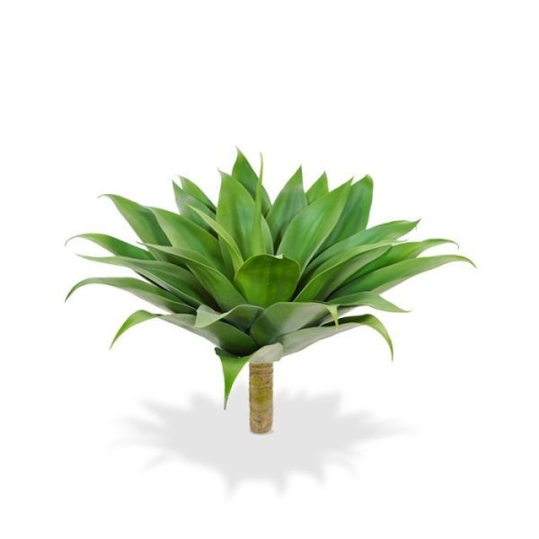 dikke en vetachtige bladeren ontspringen. Net als de echte Agave hebben de bladeren van deze kunst cactusachtige een karakteristieke matte en typische zilverglanzende vetplantuitstraling. De hoogte van deze kunstplant Agave inclusief stam is circa 70 cm en de diameter bedraagt circa 55 cm. Deze kunstige Agave wordt als boeket geleverd waardoor deze makkelijk op te steken is in verschillende potten of schalen