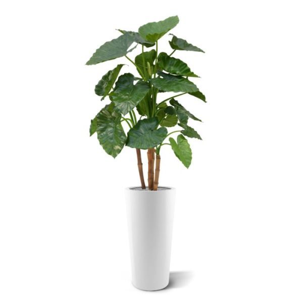 Alocasia Calidora Deluxe kunstplant 125 cm 2