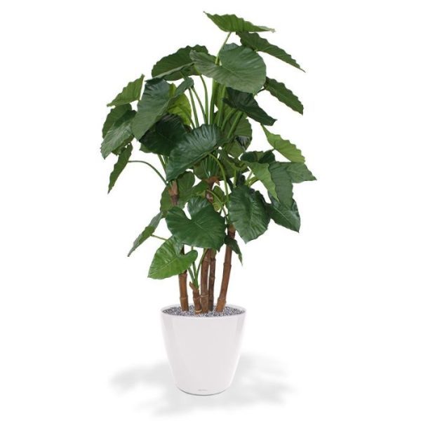Alocasia-Calidora-Kunstplant-Deluxe-165-cm-7 Alocasia Calidora Kunstplant Deluxe 165 cm 7