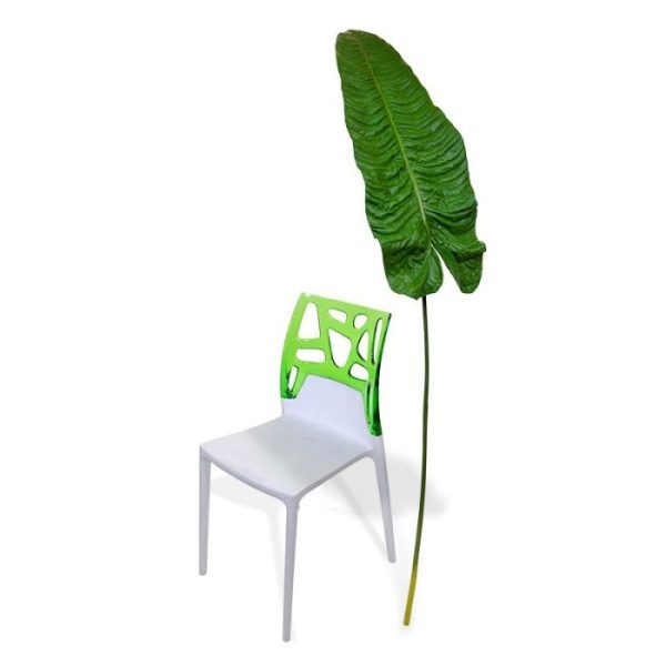 stevig kunstblad. De tekening en de nerf van het blad is zo natuurgetrouw nagemaakt en door ribbels in het blad voelt het zelfs echt aan. Deze kunstalocasiatak is ideaal om in een hoge vaas met meerdere takken op te steken en uw eigen arrangement te maken. De lengte van dit kunstblad met blad is ongeveer 2 meter