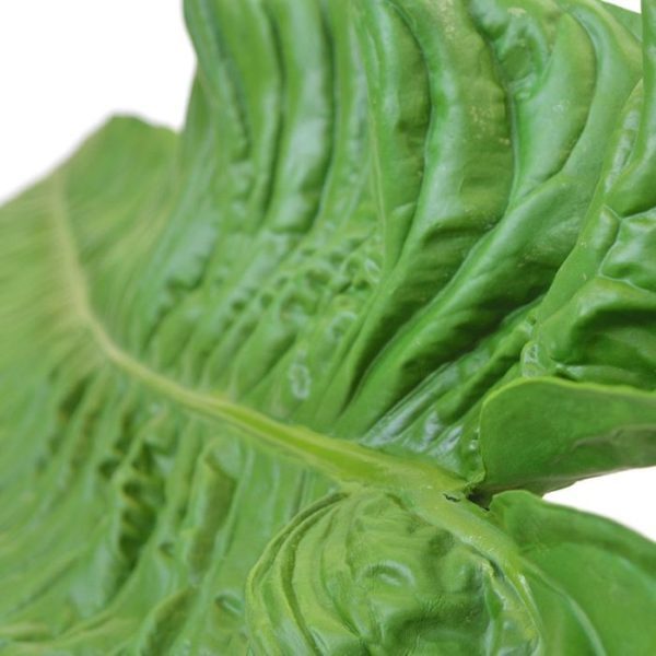 de diameter is ongeveer 30 cm.