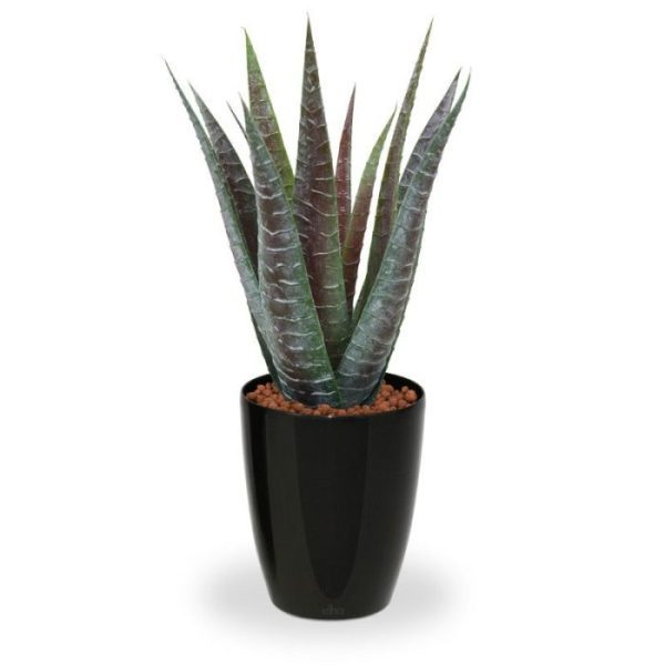 Dit bijzonder goed nagemaakte Aloë Vera kunstboeket is afkomstig uit de Cactus familie.   Met deze kunstplant creëert u in een handomdraai een tropisch 'look' die perfect in een moderne omgeving past