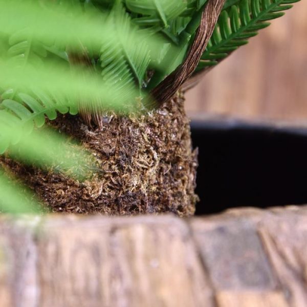 Kunstplanten waarvan de Griekse naam staat voor Vriend van het Bos.Kijk eens naar die karakteristieke