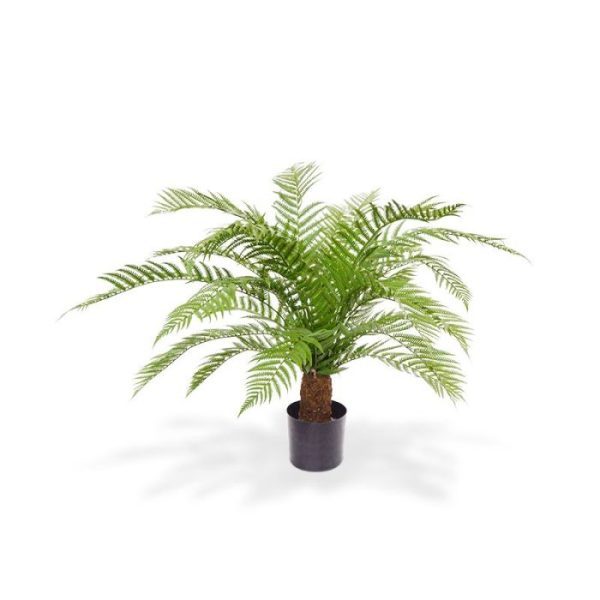 Alsophillia-Kunst-Varen-XXL-80-cm-6 Alsophillia Kunst Varen XXL 80 cm 6