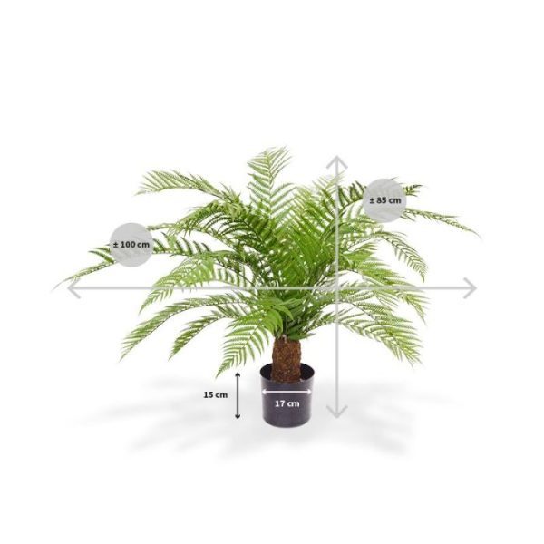 Alsophillia Kunst Varen XXL 80 cm De Alsophillia Kunst Varen XXL 80 cm is met zijn imposante en bijzondere verschijning en goedgevuld uiterlijk een populaire varen. Geen wonder dat deze kunstvaren ons meest verkochte varensoort