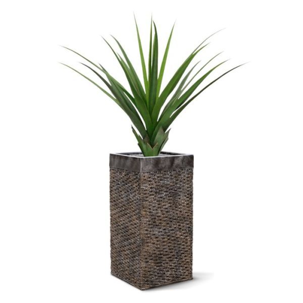 Zeer mooi nagemaakte ananas plant (ook wel pandanus genoemd) van zo'n 90 cm hoogte. Met deze plant creëert u in een handomdraai een tropisch 'look'.   De plant wordt standaard op een plastic voet geleverd