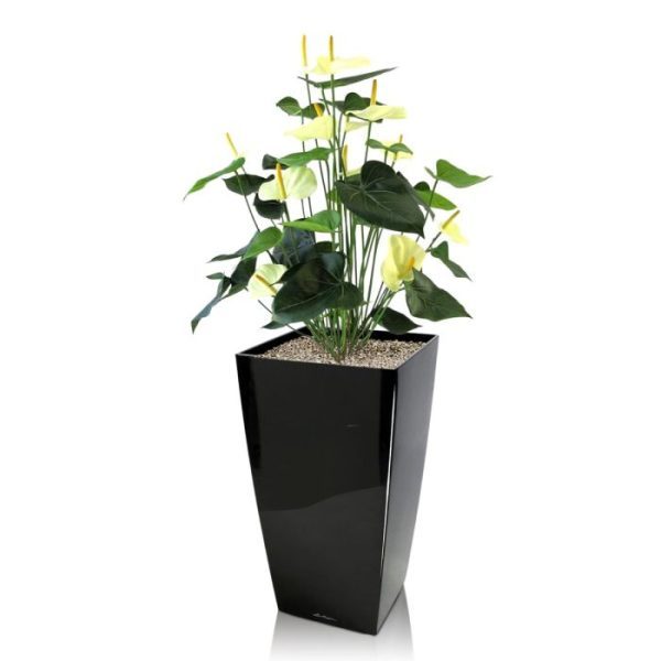 met maar liefst 13 bloemen