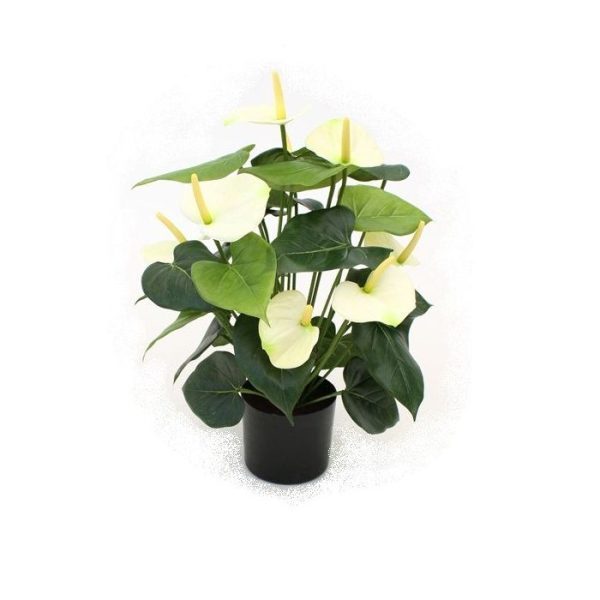 Anthurium-Deluxe-kunstplant-creme-50cm-10 Anthurium Deluxe kunstplant creme 50cm 10