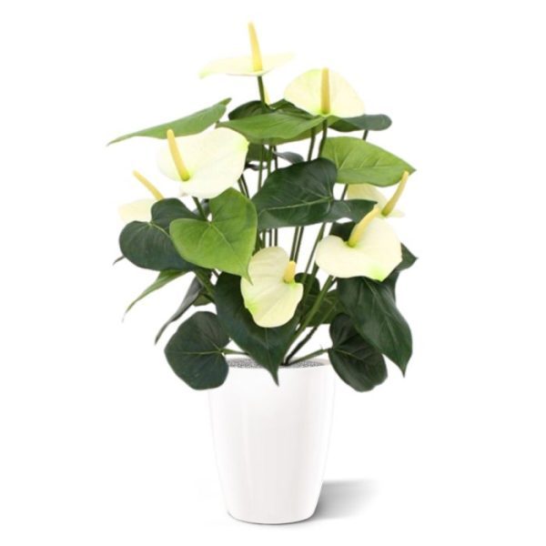 Anthurium-Deluxe-kunstplant-creme-50cm-4 Anthurium Deluxe kunstplant creme 50cm 4
