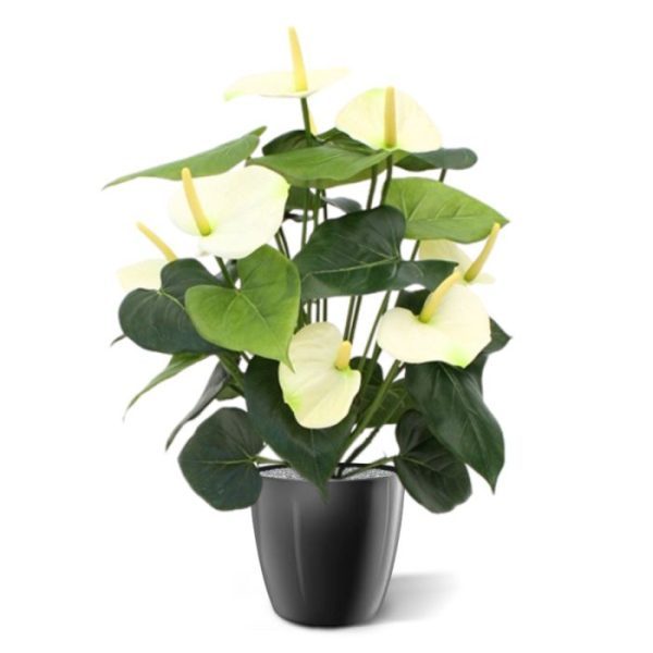 Anthurium-Deluxe-kunstplant-creme-50cm-5 Anthurium Deluxe kunstplant creme 50cm 5