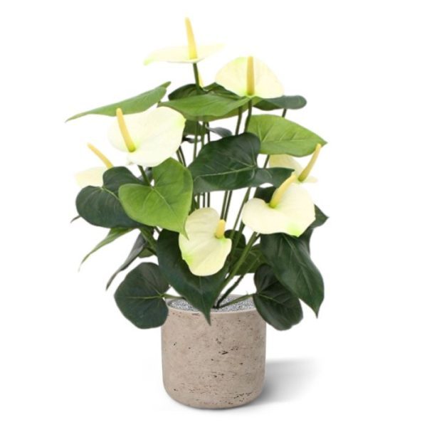 Anthurium-Deluxe-kunstplant-creme-50cm-6 Anthurium Deluxe kunstplant creme 50cm 6