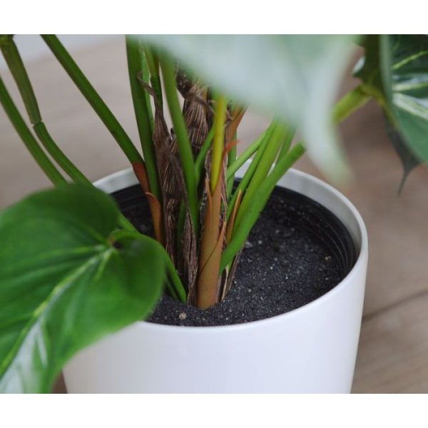 met maar liefst 4 bloemen