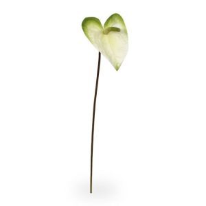 Deze schitterende kunst Anthurium steelbloem is net echt! De stengelbloem is opgebouwd uit een enkele steel met daarop de Anthurium kunstbloem met een hartvormig blad van 14 cm lang en 10 cm breed. Het blad is gemaakt van een speciale latex soort