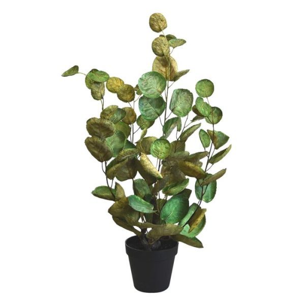 Aralia Polyscias kunstplant 60 cm 6