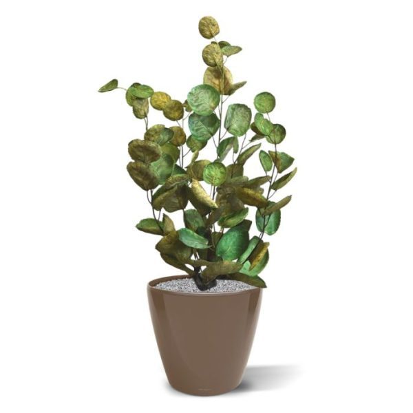 Aralia Polyscias kunstplant 60 cm 8