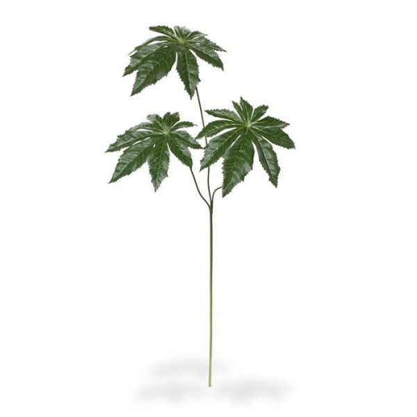 zodat deze makkelijk te verwerken is in arrangementen en kunstboeketten. Deze Aralia tak heeft drie bladeren met een mooie gedetailleerde bladprint