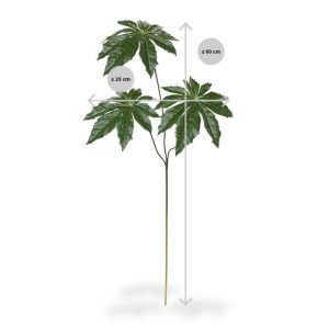 Aralia tak 70 cm met 3 bladeren (let op: werkelijke maat wijkt af van omschrijving)Zeg eens…. Waar gaat u deze natuurgetrouwe en stevige Aralia tak met 3 bladeren voor gebruiken? Knipt u de bladeren los zodat u de perfecte basis voor het opbouwen van uw boeket heeft of combineert u deze volledig als frisgroene touch in uw arrangement? Standaard wordt deze kunsttak los geleverd