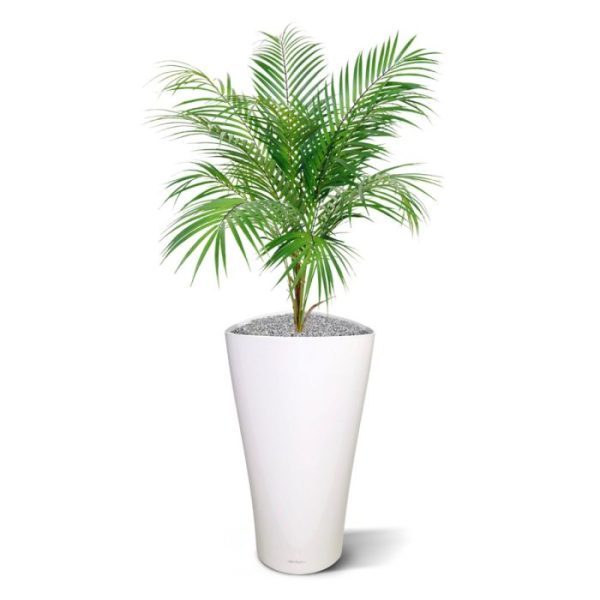 Areca-Kunstpalm-boeket-80-cm-8 Areca Kunstpalm boeket 80 cm 8