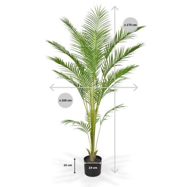 Wat een joekel van een prachtpalm is deze kunst Areca van 165 cm hoogte. Wat zal die geweldig staan in woonkamer thuis