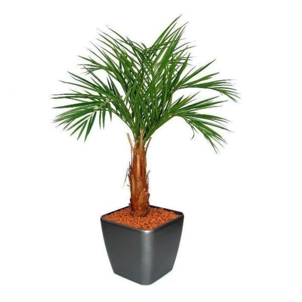 Areca-kunstpalm-op-stam-120-cm-4 Areca kunstpalm op stam 120 cm 4
