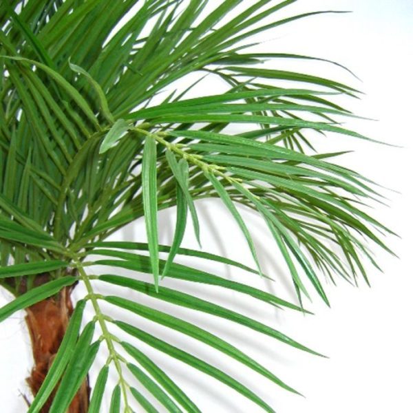 Areca-kunstpalm-op-stam-120-cm-9 Areca kunstpalm op stam 120 cm 9