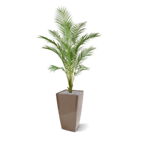 Kunstbomen gele palm