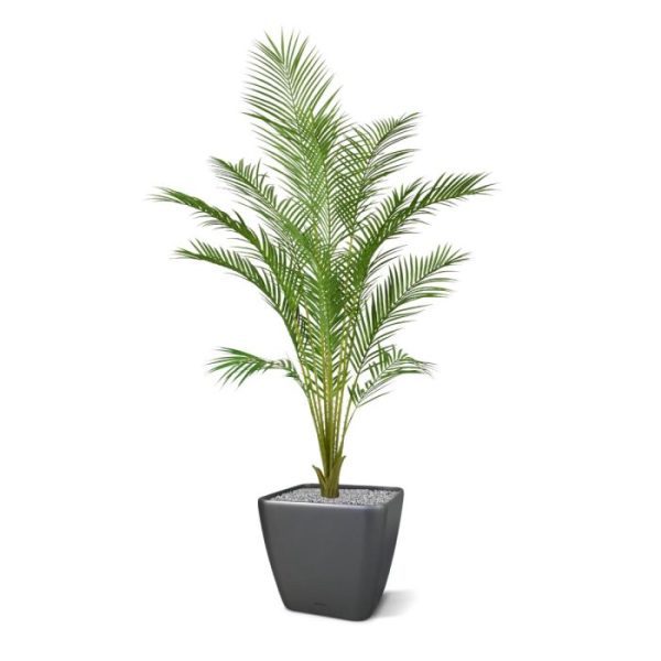 Kunstpalmen goudvruchtpalm