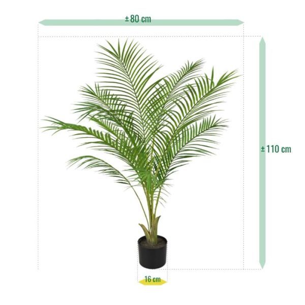 goudvruchtpalm of vlinderpalm