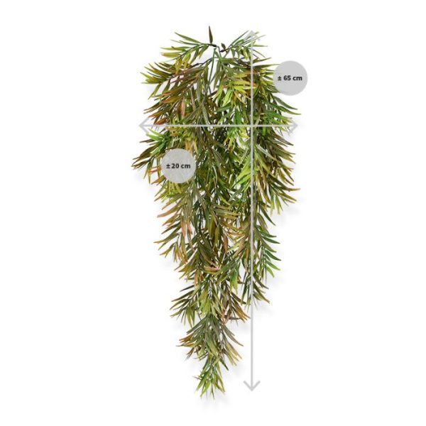 Kunst Hangplanten zachte gevederde en in kleur afwisselende bladeren is deze kunst Asparagus Sprengeri als hangplant een prachtige verschijning. Kijk alleen al naar die oh zo mooie groene en rode vleugen in het intrigerende bladerenspel. Dara kunt u toch eindeloos van genieten? Nou dan