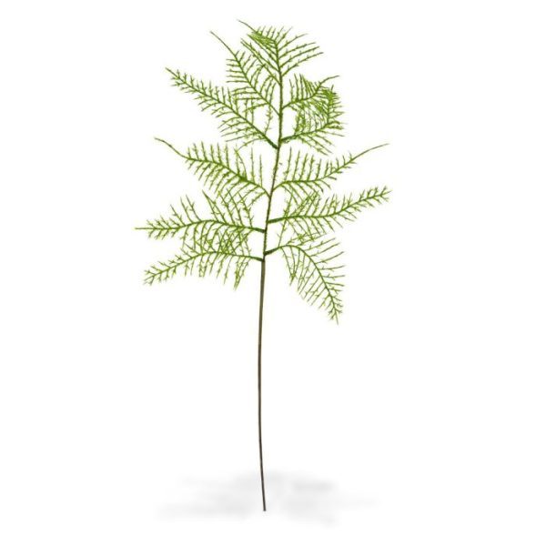 Asparagus kunsttak 55 cm 5