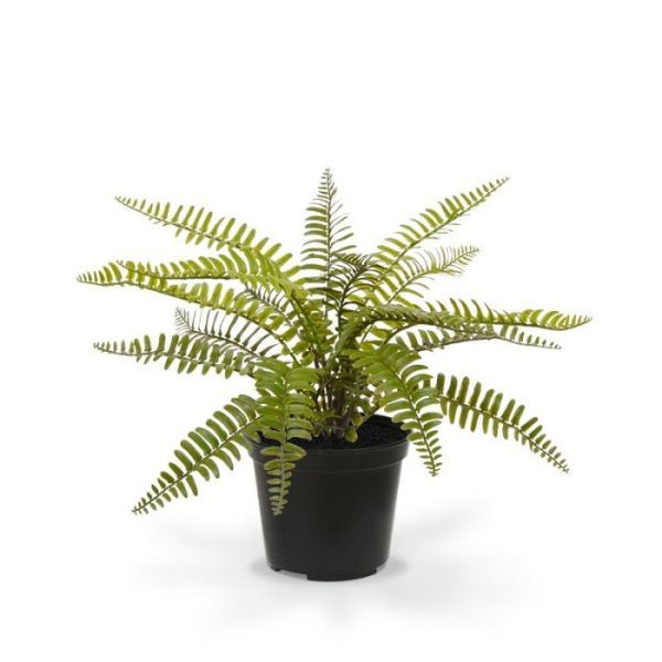 als decoratie in de badkamer of op tafel in de horeca. Deze levensecht nagemaakte varen wordt geleverd in een 10 cm kweekpotje. Er zijn ook grotere maten kunstvarens en varens als los boeket verkrijgbaar.