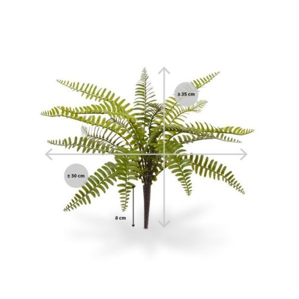 Kunstbloemen ook wel bekend als steenbreekvaren