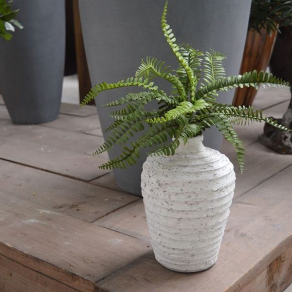 Asplenium Kunstvaren boeket 35 cm als decoratie in de badkamer of op tafel in de horeca. De varen wordt als boeket geleverd. Vanaf 12 stuks profiteert u van een korting op de prijs.