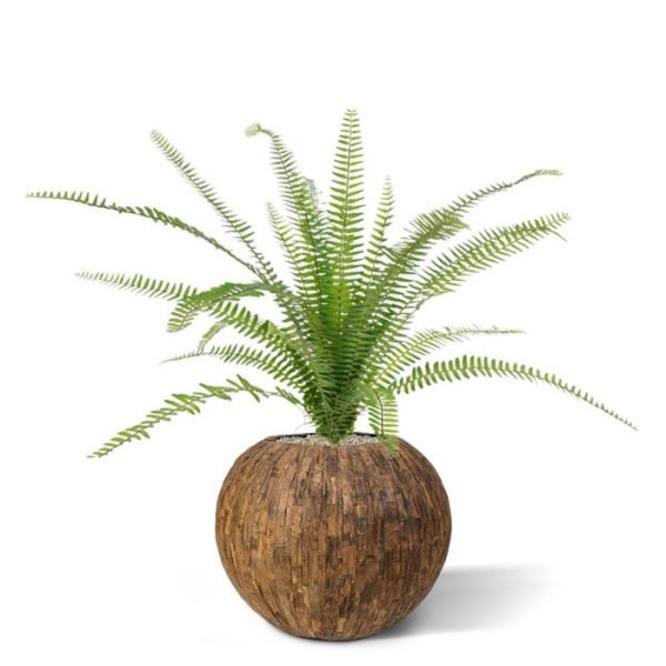 maar als kunstplant is dit frivole boeket een bijzonder decoratieve aandachtstrekker. Ideaal om alleen of met meerderen op te steken in een hoge vaas of plantenbak en optimaal te modelleren dankzij de vernieuwde en buigzamere constructie. De totale breedte van dit boeket is ongeveer 80 cm