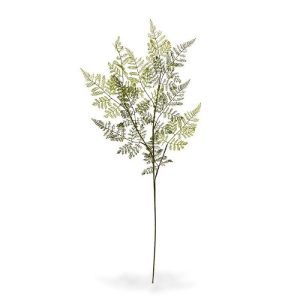 Deze dubbel gevederde kunststof Athyrium Varen tak is bijzonder gedetailleerd nagemaakt en perfect te gebruiken in kunstzijden boeketten of met meerdere op te steken in decoratieve sierpotten of vazen. De vertakte kunststof steel heeft een natuurgetrouwe print en door zijn 3D constructie heeft deze kunstvaren een heel volle uitstraling. De lengte is ongeveer 92 cm
