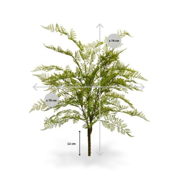 Kunstbloemen ook wel Wijfjes Varen genoemd