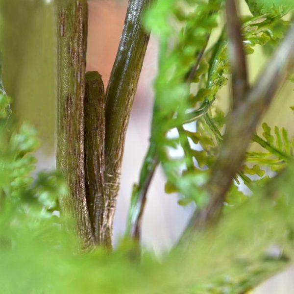 Athyrium-kunstvaren-boeket-75-cm-4 tegen meerprijs mee te bestellen! Vanaf 6 stuks profiteert u van een lagere prijs.