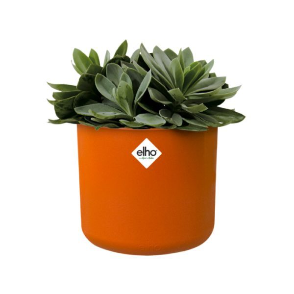 B.for soft rond 16cm brique 2