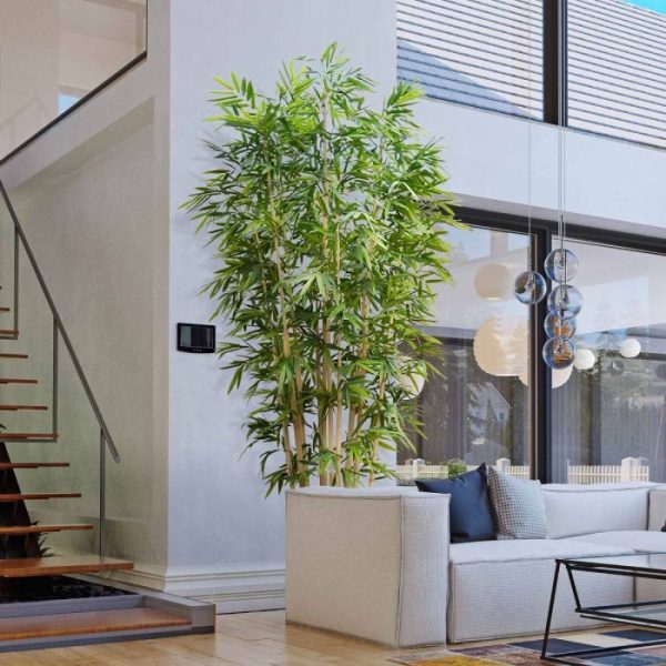 Kunstbomen winkelcentra en horecagelegenheid of tijdens evenementen. Deze levensecht nagemaakte bamboe is opgebouwd uit 12 echte dikke bamboestokken voor een zo natuurlijk mogelijke uitstraling. Zo wisselen oude afgestorven takjes