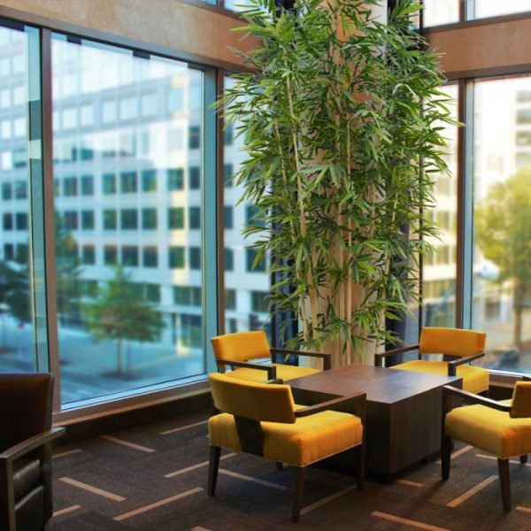 Bamboe-Deluxe-kunstboom-4m-op-plaat-3 langwerpige bladeren elkaar af. Maar kijkt u ook eens naar de prachtige kunstzijden bladeren die delicaat geweven en ieder zorgvuldig met de hand verlijmd zijn. Net echt! De hoogte van deze kunstbamboe is wel 4 meter en staat