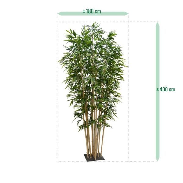Bamboe Deluxe kunstboom 4m op plaat Maak een fantastische eerste indruk op uw gasten en bezoekers met deze gigantische en luxueus uitgevoerde kunst Bamboe. Deze niet van echt te onderscheiden kunstboom Bamboe is een overweldigend ontvangst met Oriëntaals tintje in elke ontvangsthal
