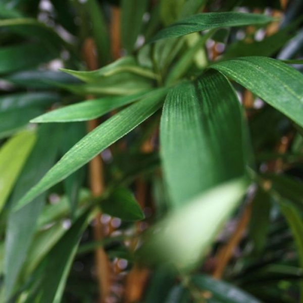 Bamboe-Deluxe-kunstplant-150-cm-3 Bamboe Deluxe kunstplant 150 cm 3