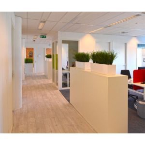 Dit leuke kunst bamboe grasboeketje van zo'n 40 cm (totaal) is de perfecte basis om schalen en scheidingsbakken mee te vullen. De diameter van het bamboegras boeket is ± 25 cm en de totale hoogte ±40 cm