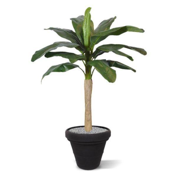 Kijk deze leuke en voordelige Bananen kunstplant daar nu eens vrolijk zien schitteren. Wat een exotische verrassing waarmee u iedere ruimte of evenement in een handomdraai en zonder al teveel onderhoud een tropisch tintje geeft. Zo'n grote hoogte en dat voor die lage prijs! Onze kunst Bananenplant is gemaakt van de hoogste kwaliteit volkunstof. Ondanks de voordelige prijs is de kunstbanaan tot in detail perfect nagemaakt. Zo zien we verschillende kleurtinten