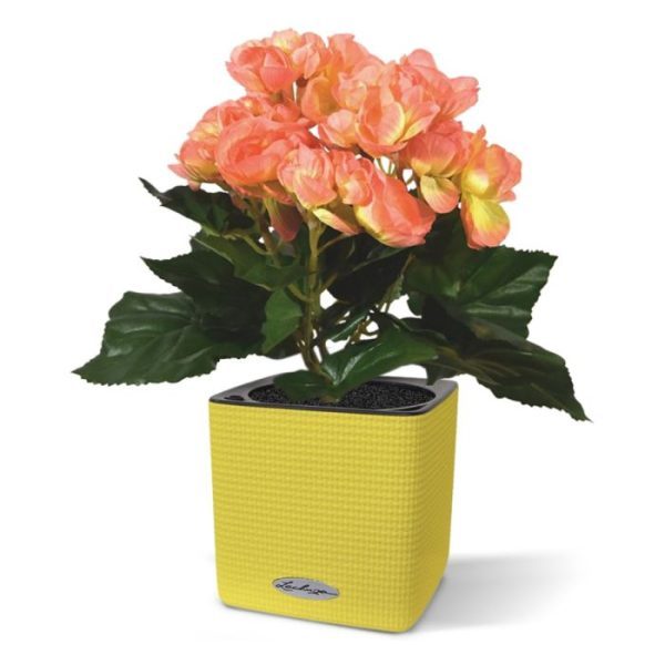 Begonia-kunstplant-20-cm-zalm-in-potje-3 Begonia kunstplant 20 cm zalm in potje 3